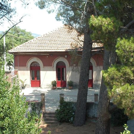 B&B Sotto I Pini Zafferana Etnea Exterior photo